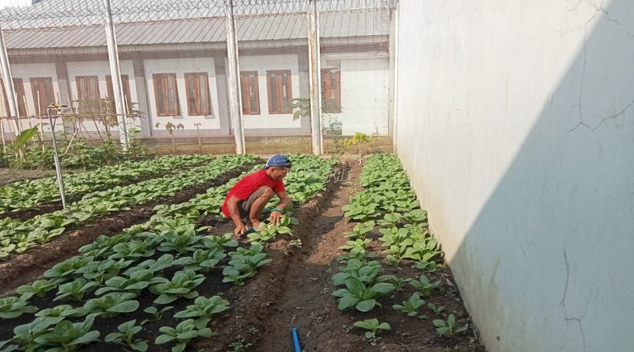 Mandiri dan Produktif, Warga Binaan Lapas Pemuda Madiun Berdaya lewat Kegiatan Kemandirian