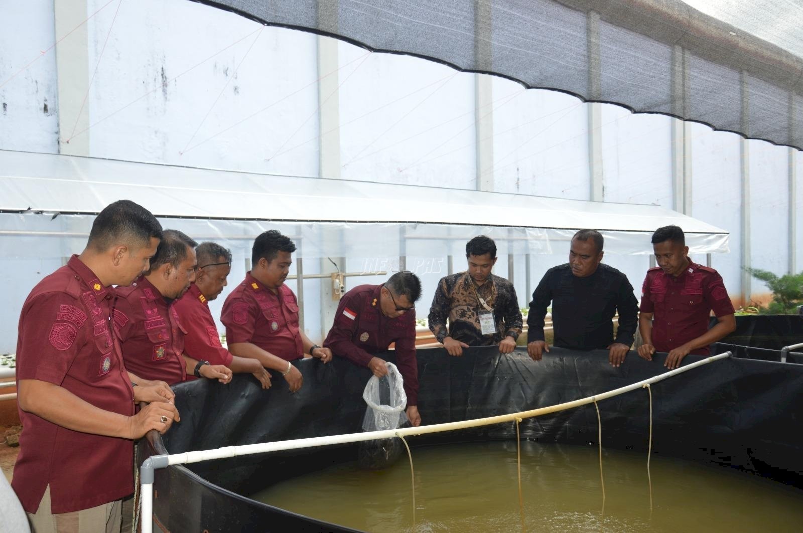 Tebar 16.000 Benih Lele, Lapas Muara Sabak Kembangkan Budidaya