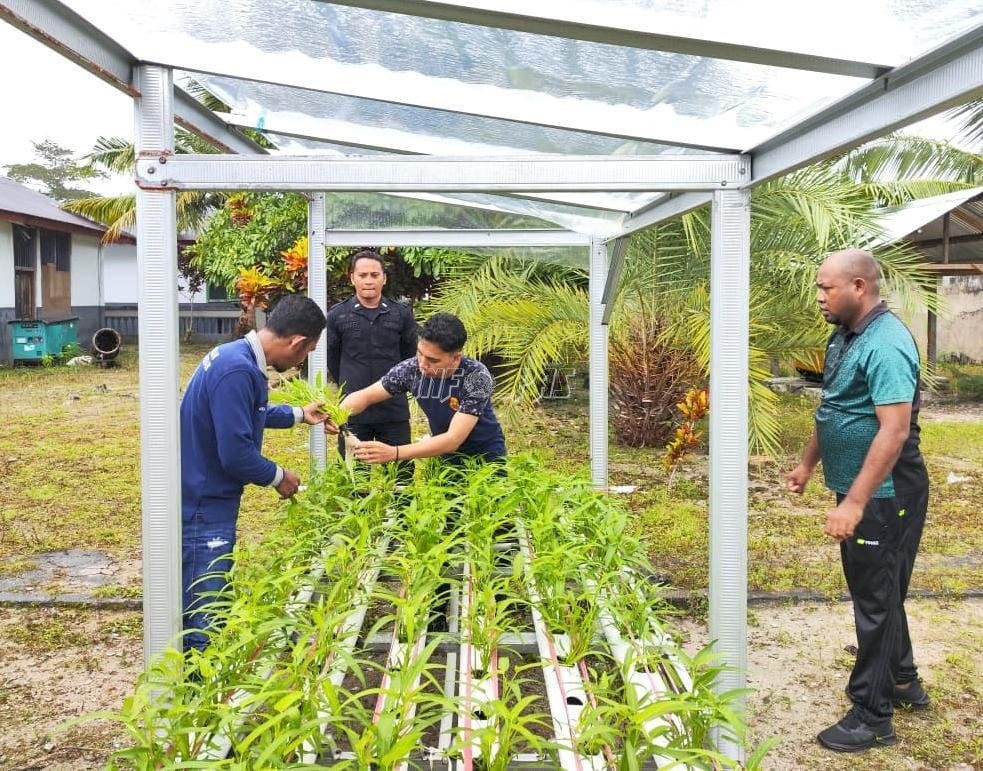 Budidaya Hidroponik Lapas Geser Dukung Ketahanan Pangan