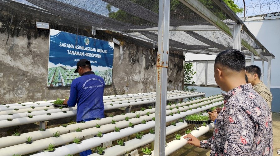 Lapas Sekayu Dukung Ketahanan Pangan lewat Budidaya Kangkung Hidroponik