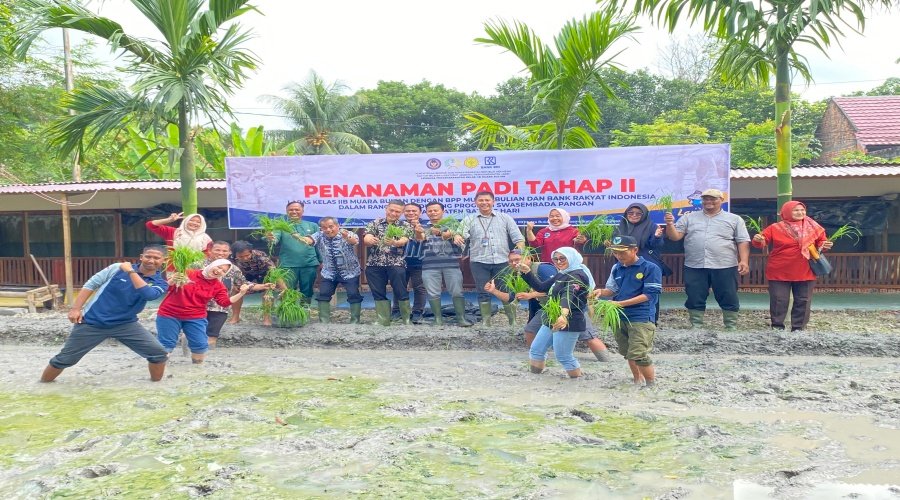 Lapas Muara Bulian Laksanakan Penanaman Padi Tahap II di Lahan SAE