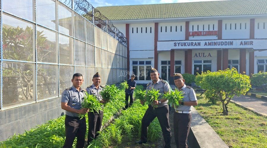 Lapas Luwuk Panen Tahap I, Capai 32 Kg Kangkung