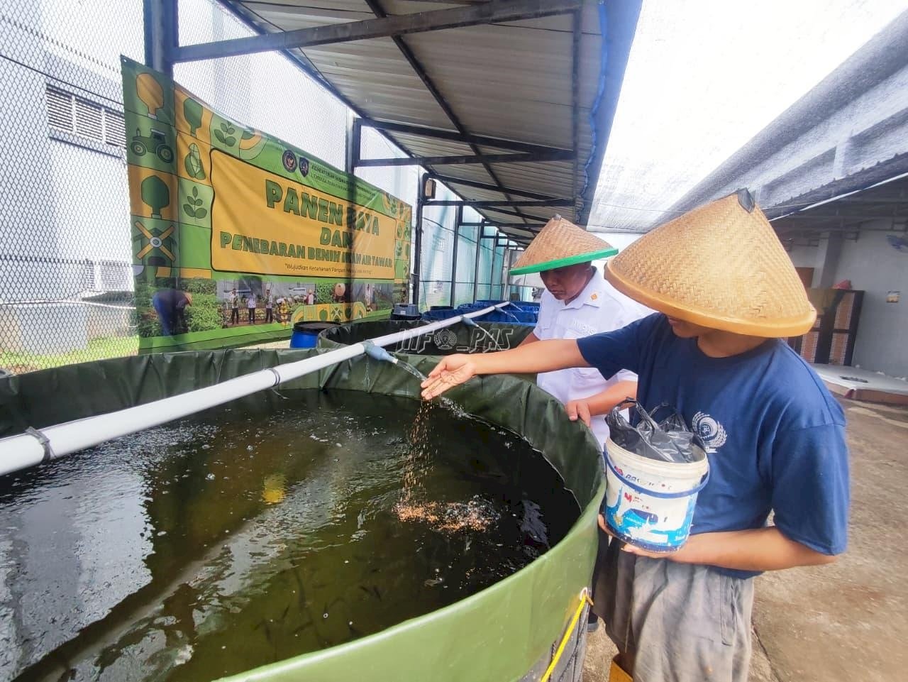 Budidaya Ikan Nila Perkuat Pembinaan Kemandirian di Lapas Cipinang