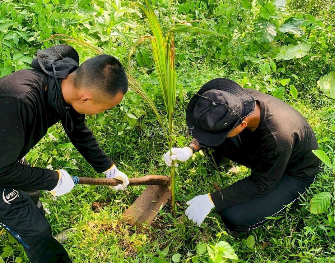 Dukung Ketahanan Pangan, Lapas Nirbaya Tanam 280 Tunas Pohon Kelapa