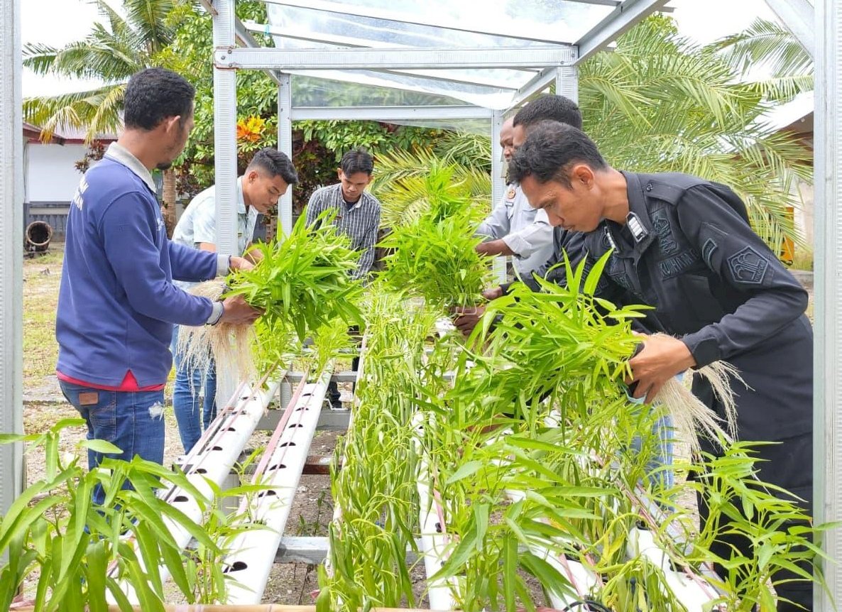 Warga Binaan Lapas Geser Sukses Budidaya Kangkung Hidroponik