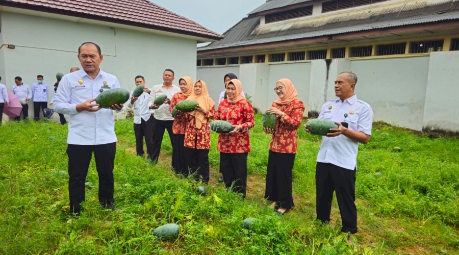 Lapas Pangkalpinang Panen 106 Kg Semangka Inul