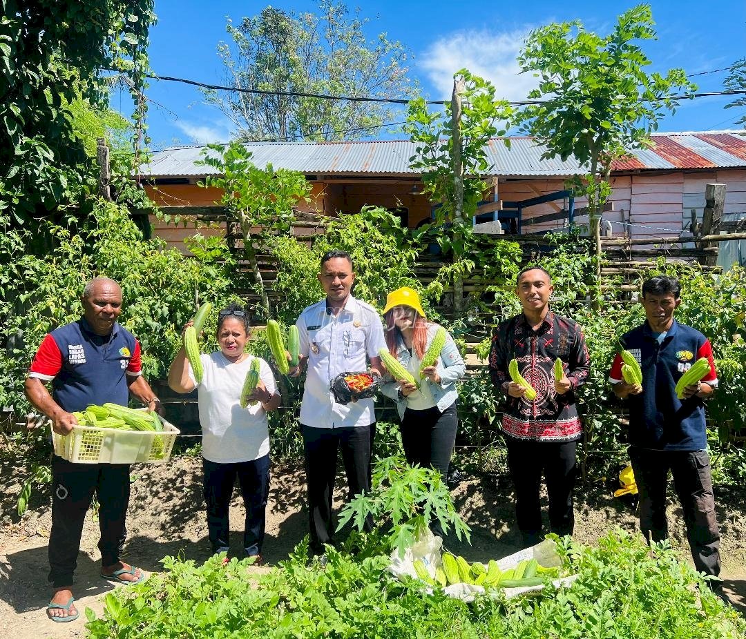 Panen Aneka Sayuran, Warga Binaan Lapas Wahai Konsisten Bertani