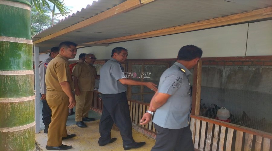 Lewat Program Peternakan Ayam Kampung, Lapas Muara Bulian Ciptakan Pembinaan Produktif