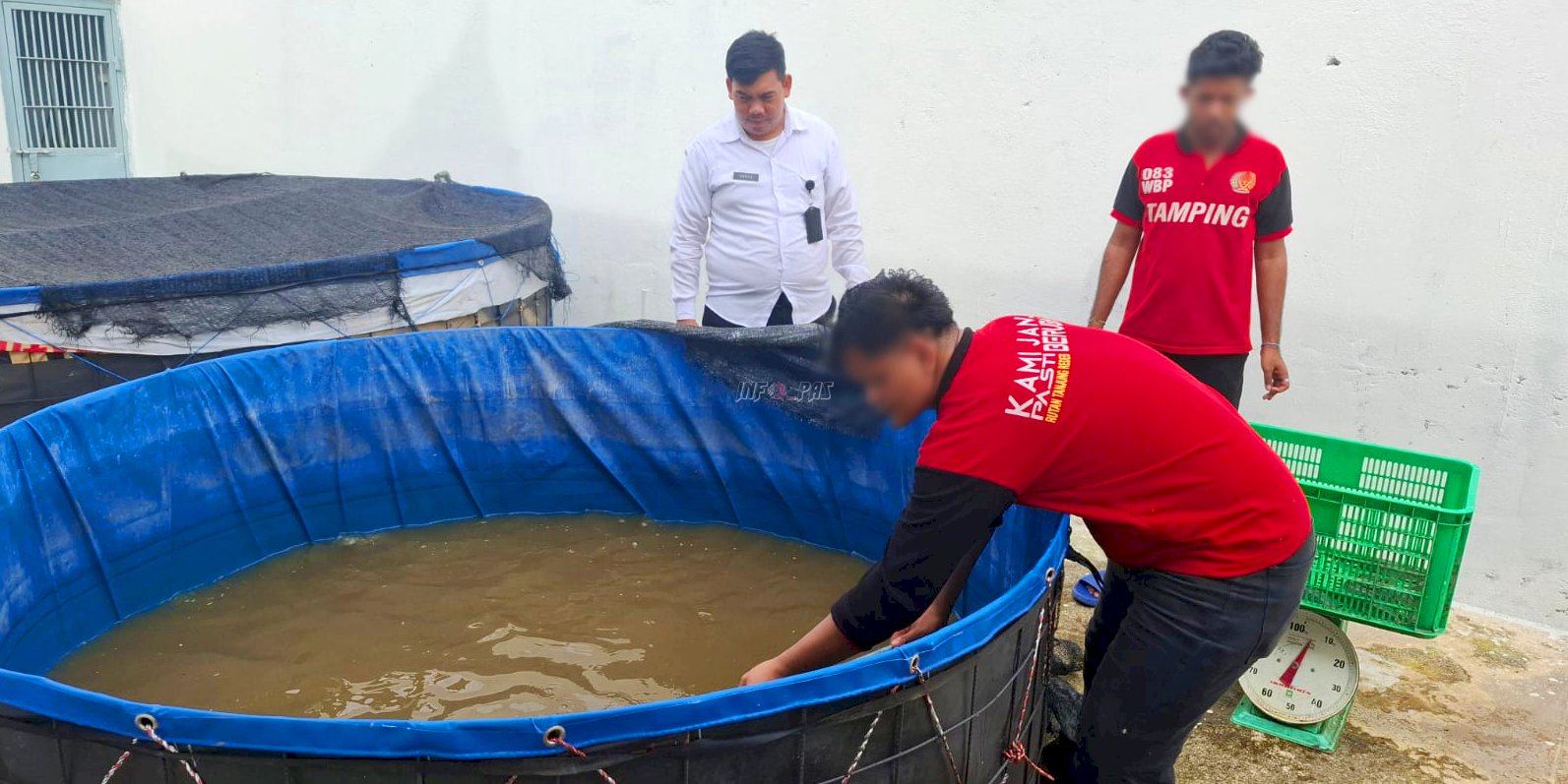 Panen Raya di Rutan Tanjung Redeb, Petugas dan Warga Binaan Hasilkan 50 Kg Ikan Lele