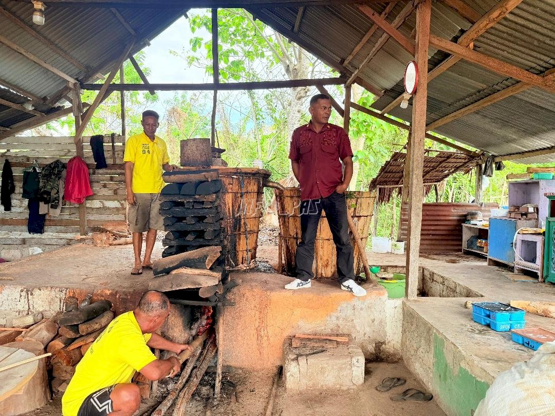 Lapas Namlea Intensifkan Produksi Minyak Kayu Putih LAPANAM