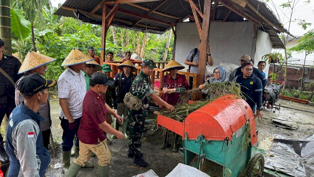 Perkuat Ketahanan Pangan, Lapas Muara Bulian Panen Padi dan Ayam Kampung