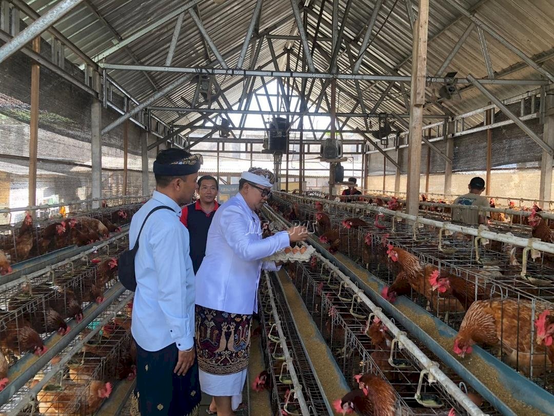 Tingkatkan Kemandirian Warga Binaan, Rutan Negara Panen 463 Telur Ayam Petelur