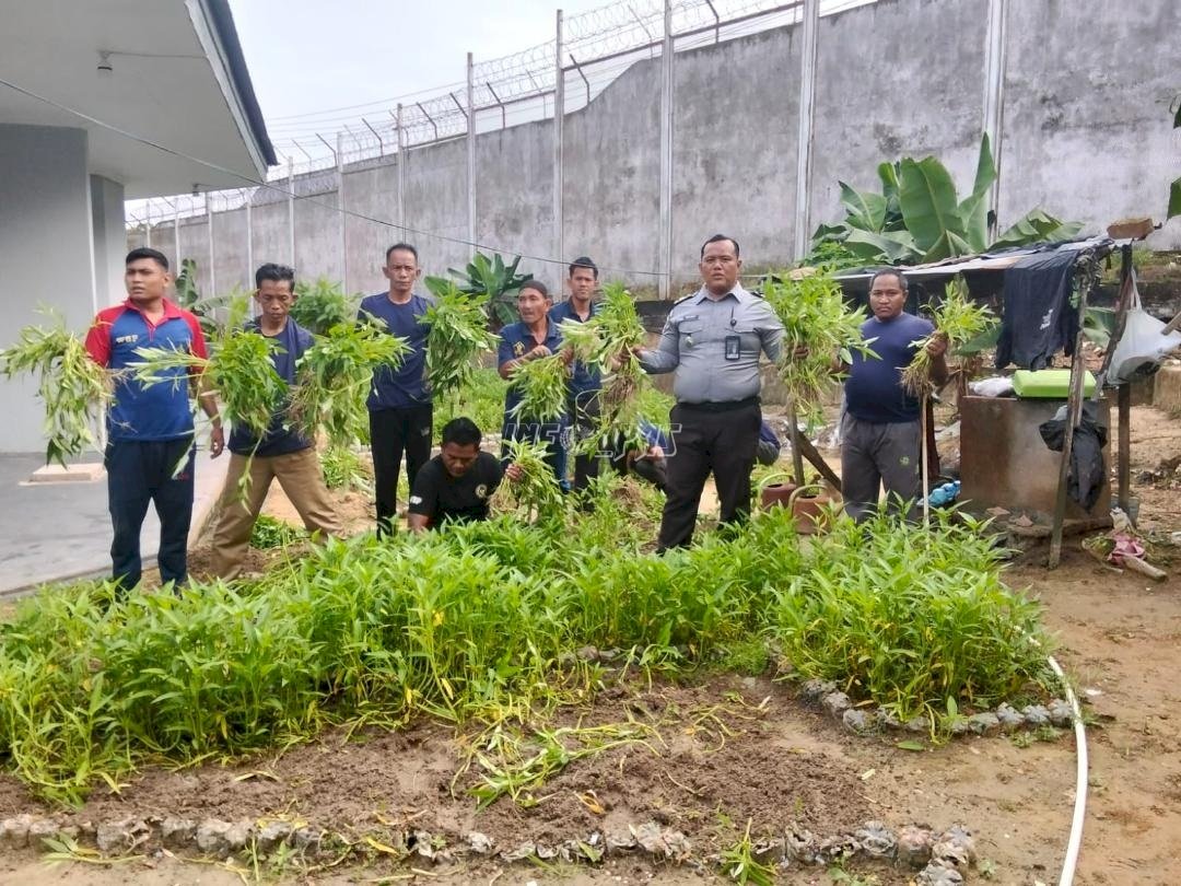 Lapas Jambi Panen 300 Ikat Kangkung, Pastikan Pembinaan Efektif dan Mandiri