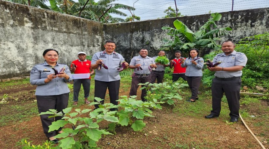 Komitmen Dukung Ketahanan Pangan, Lapas Tual Kembali Panen 14 Kg Terong