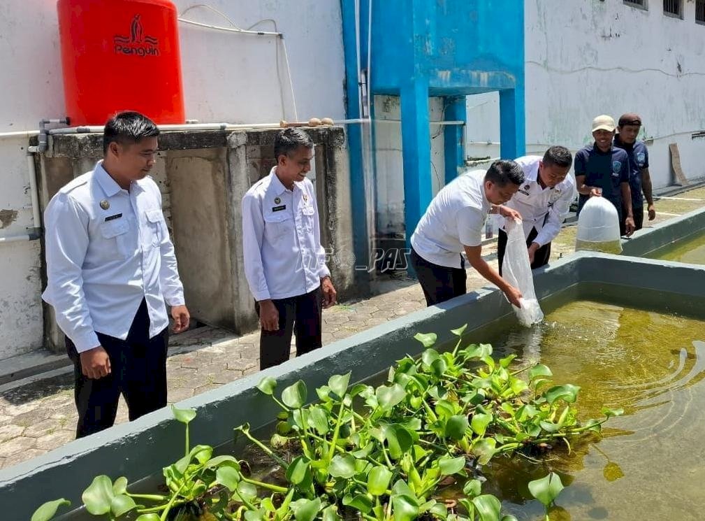 Dukung Ketahanan Pangan, Lapas Brebes Tebar 2.000 Benih Nila