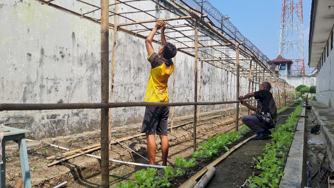 Rutan Kebumen Latih Warga Binaan Bertani Sayuran Pare