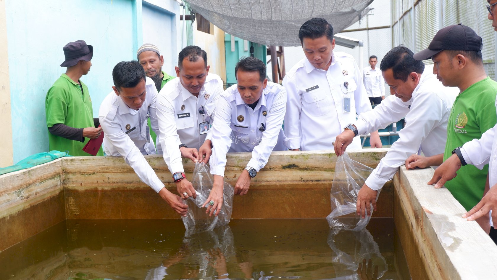 Dorong Produktivitas, Lapas Narkotika Pangkalpinang Tebar 500 Ekor Benih Ikan Gurame 