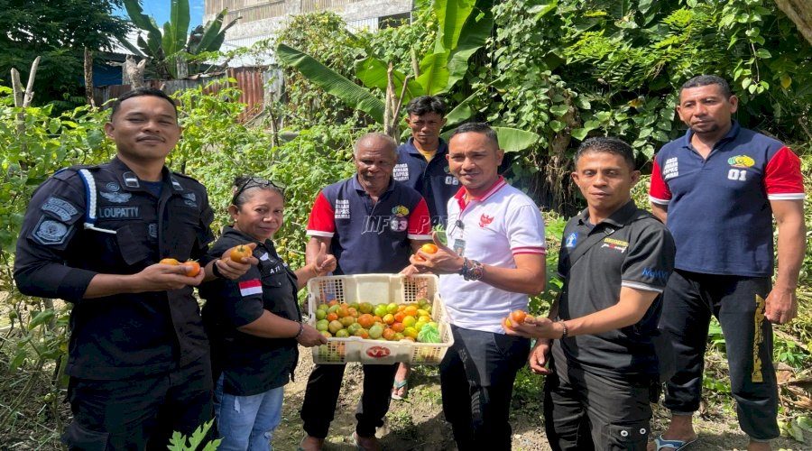 Perdana, Petugas dan Warga Binaan Lapas Wahai Panen 6 Kg Tomat
