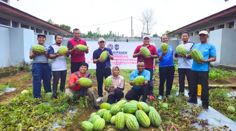 Lapas Pangkalpinang Ajak Forkopimcam Wujudkan Ketahanan Pangan Lewat Panen 525 Kg Semangka
