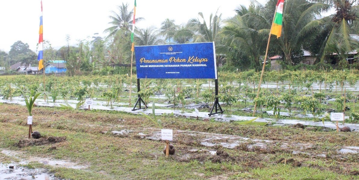 Serentak, Pemasyarakatan Seluruh Indonesia Tanam 360 Ribu Bibit Pohon Kelapa