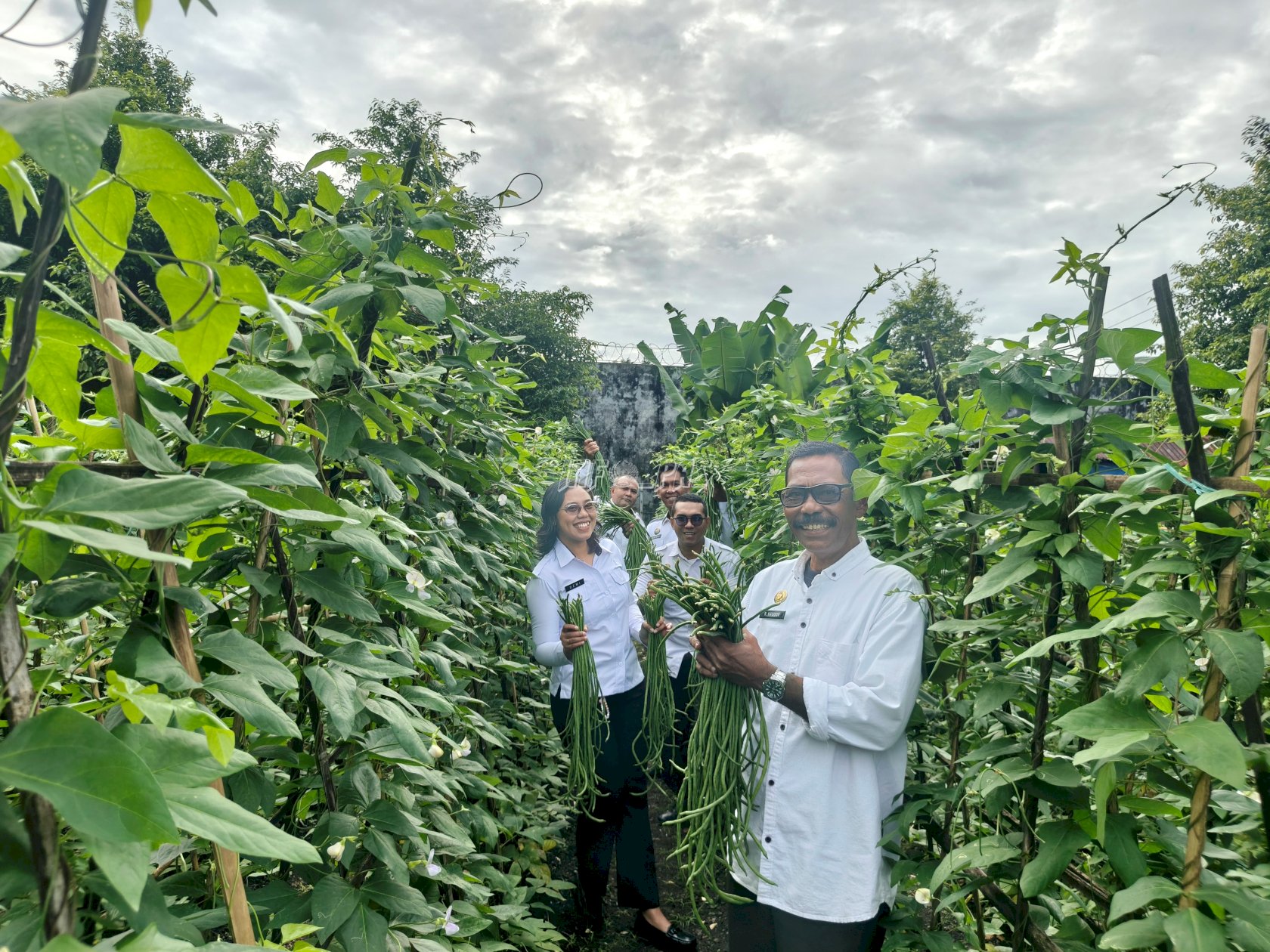 Semakin Produktif, Lapas Bandanaira Panen Kacang Panjang dan Kangkung di Lahan SAE