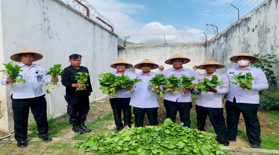 Panen Sawi di Branggang, Lapas Wonogiri Teguhkan Komitmen Ketahanan Pangan