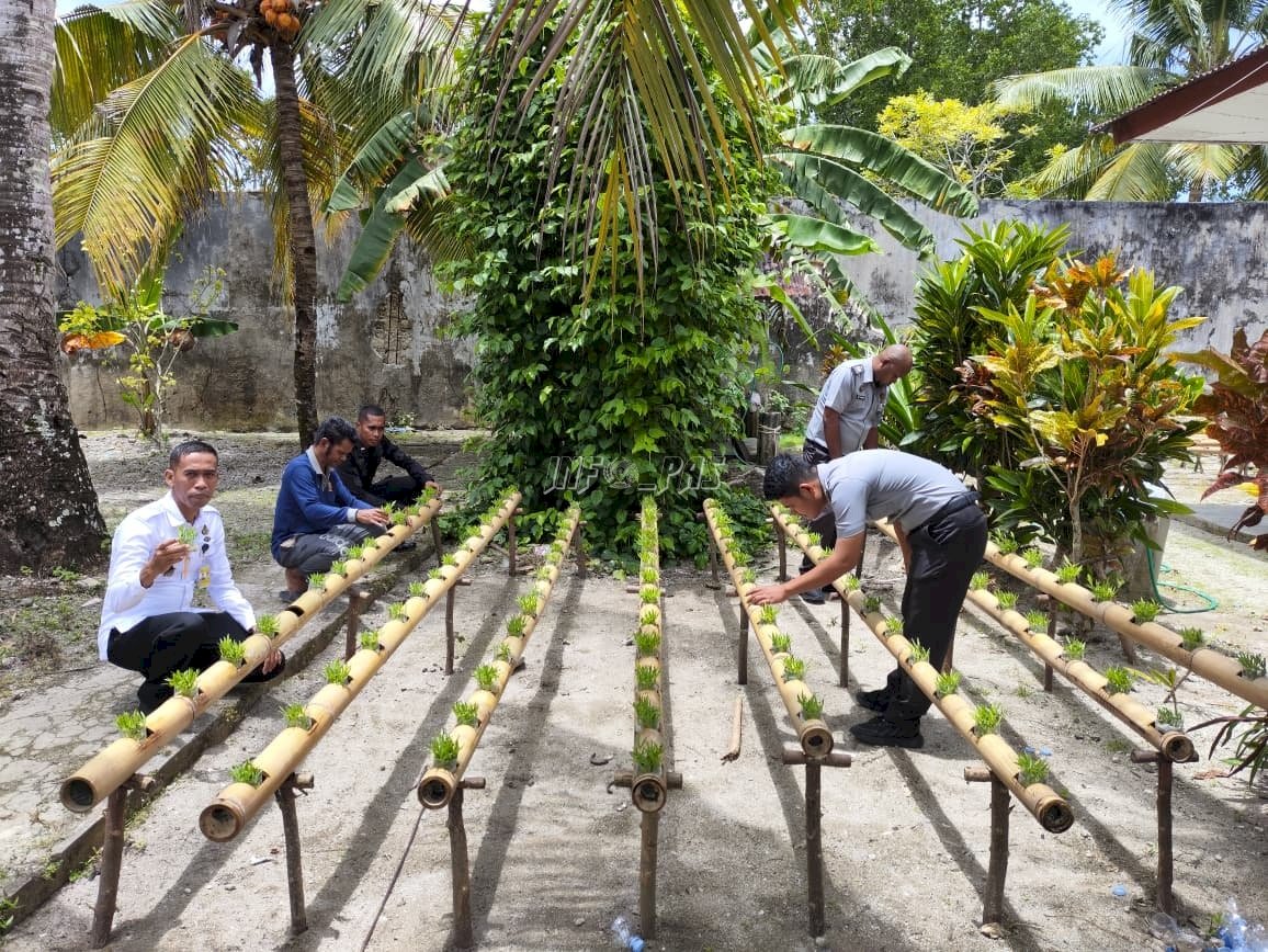 Dukung Ketahanan Pangan, Lapas Geser Kembangkan Sayuran Hidroponik Bambu