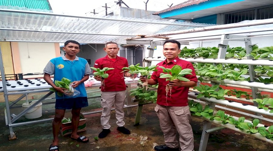 Hasilkan Panen Berkelanjutan, Rutan Ambon Terus Konsisten Dukung Ketahanan Pangan