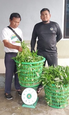 LPKA Medan Tanamkan Kemandirian Anak Binaan lewat Pertanian