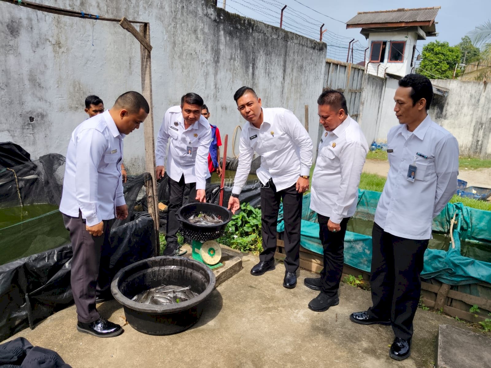 Panen Lele, Rutan Baturaja Dorong Ketahanan Pangan dan Kemandirian Warga Binaan