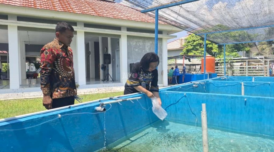 Lapas Perempuan Palu Kembangkan Budidaya Ikan Nila, 1.200 Benih Ditebar