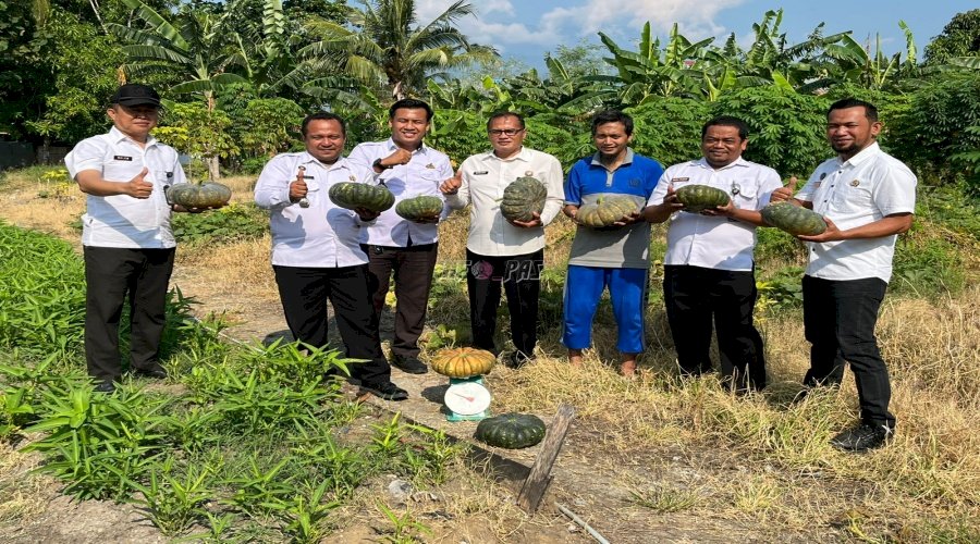 Lapas Palu Panen 35 Kg Kangkung dan Labu, Bukti Nyata Dukung Ketahanan Pangan Nasional