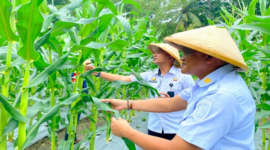 Semangat Hari Tani, Momentum Lapas Wahai Dukung Ketahanan Pangan Nasional