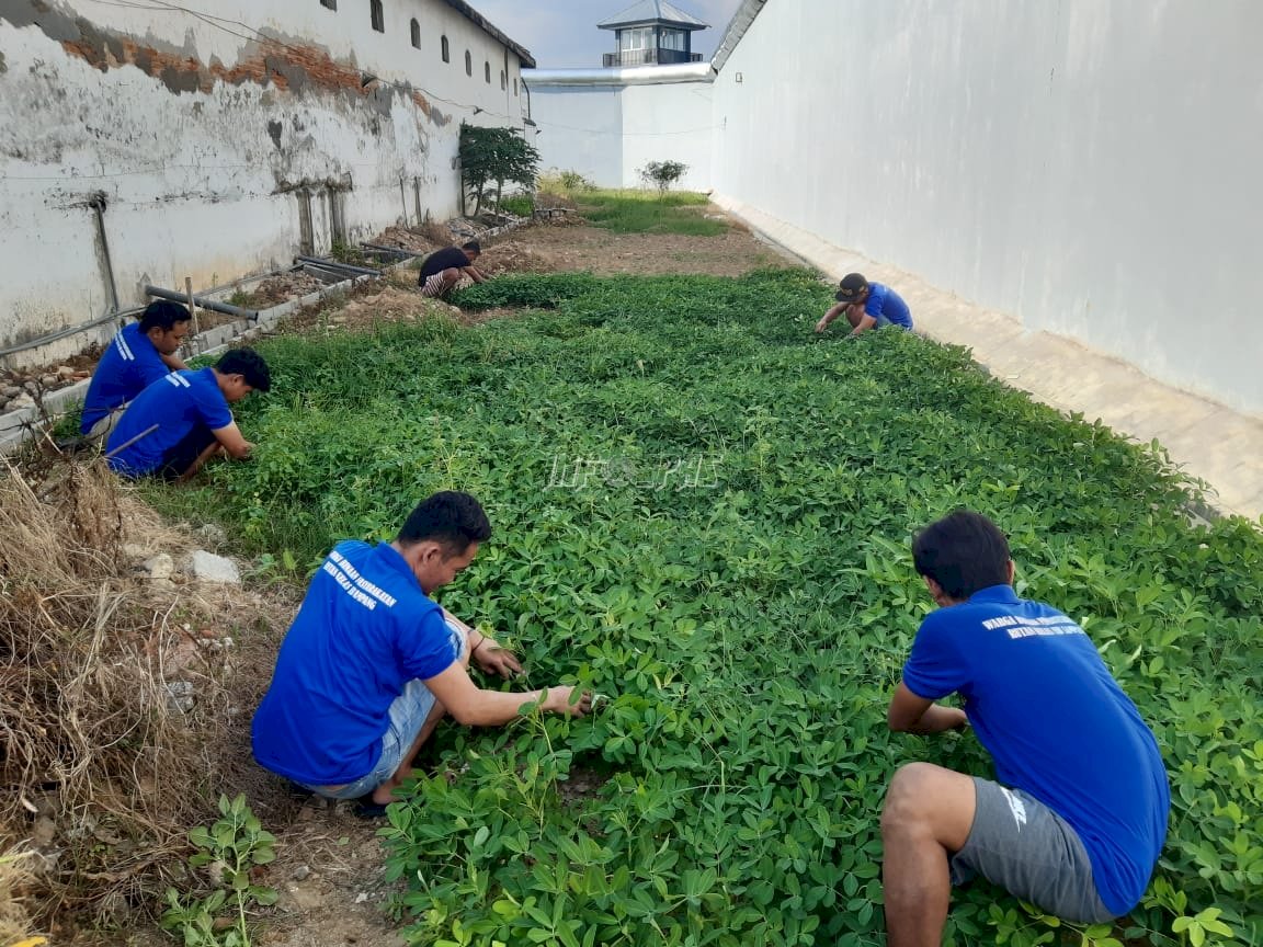 Produktif di Balik Jeruji, Warga Binaan Rutan Sampang Giatkan Ketahanan Pangan