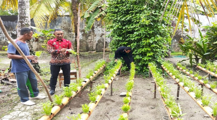 Lapas Geser Perkuat Pemahaman dan Kreativitas Warga Binaan lewat Budidaya Hidroponik 
