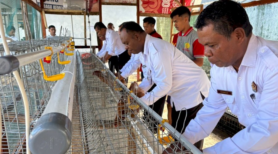 Warga Binaan Lapas Atambua Tancap Gas Jadi Juragan Telur