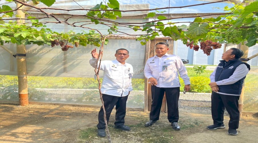 Lapas Muara Bulian dan Tim Efektif Kerabat Pangan Lakukan Studi Tiru Ketahanan Pangan ke Nusakambangan