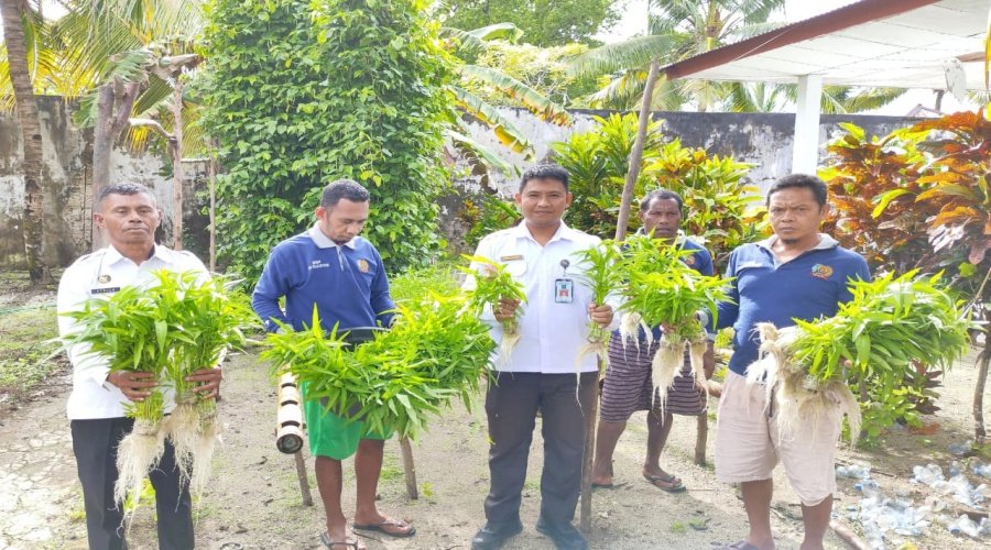 Lapas Geser Panen Kangkung Hasil Modifikasi Instalasi Bambu dengan Metode Hidroponik