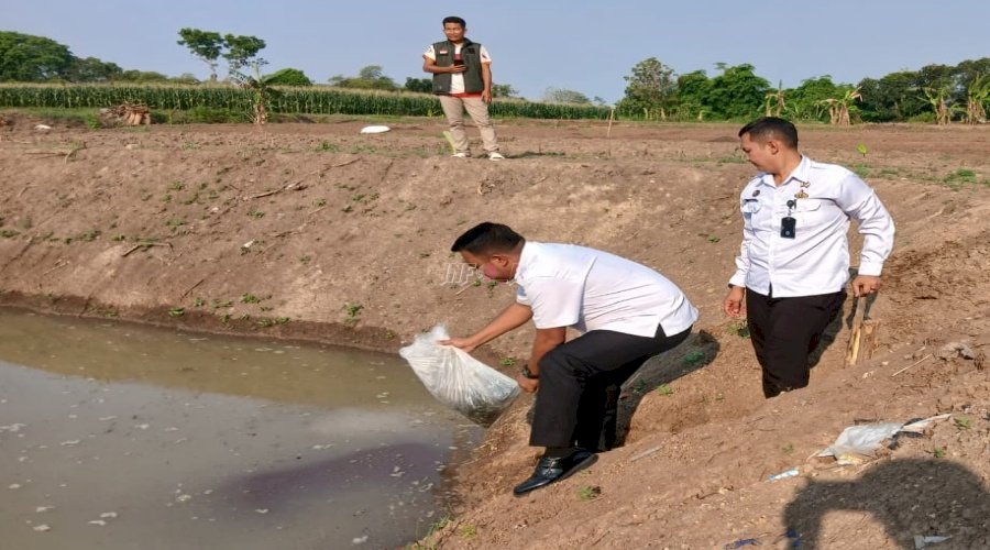 Semai Harapan dari Kolam SAE, Lapas Slawi Tebar 12 Ribu Benih Ikan Nila