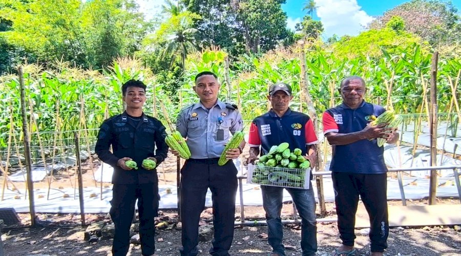 Bukti Produktivitas Tanpa Batas, Warga Binaan Lapas Wahai Panen Pare