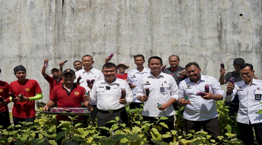 Dukung Ketahanan Pangan, Lapas Besi Panen Terong Hasil Pembinaan Warga Binaan