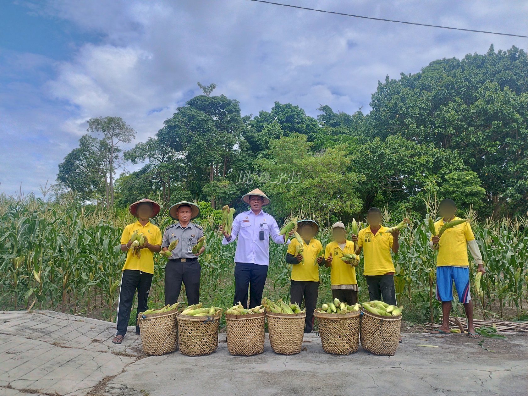 Lapas Namlea Panen Ribuan Jagung Dukung Program Ketahanan Pangan