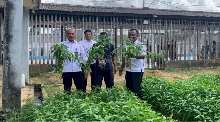  Lapas Pangkalpinang Buktikan Pembinaan Produktif lewat Panen 29 Kg Kangkung