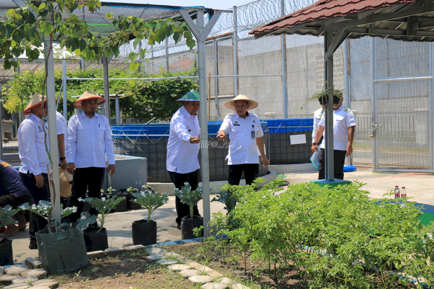 Tinjau SAE, Kalapas Pemuda Madiun Dorong Optimalisasi Program Ketahanan Pangan