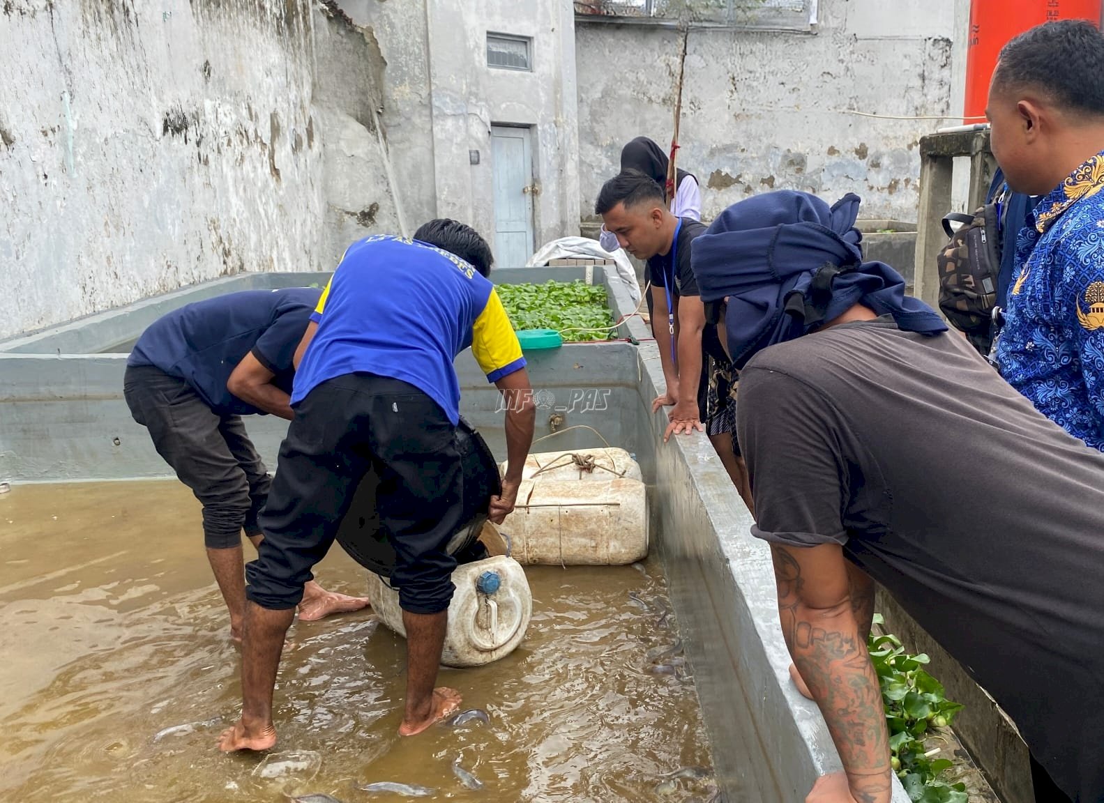 Binaan Jadi Andalan, Lapas Brebes Panen 100 Kg Lele
