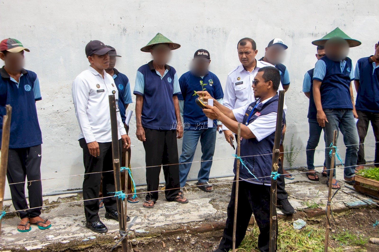 Pelatihan Budidaya Cabai di Lapas Madiun Dorong Semangat Kemandirian