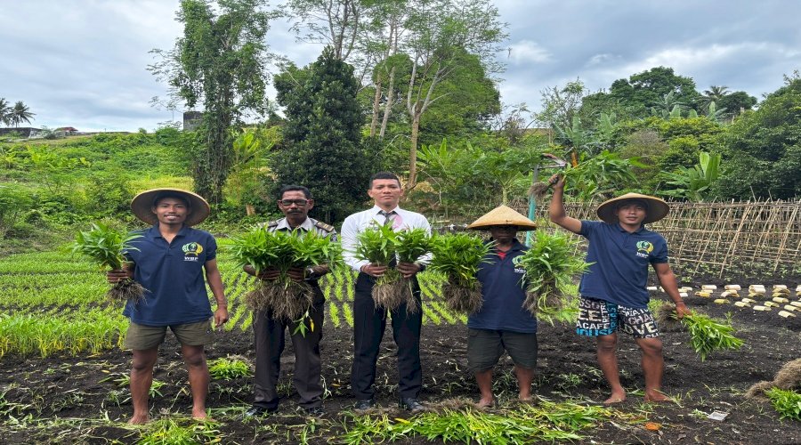 Lapas Bandanaira Panen Kangkung Hasil Program Pembinaan