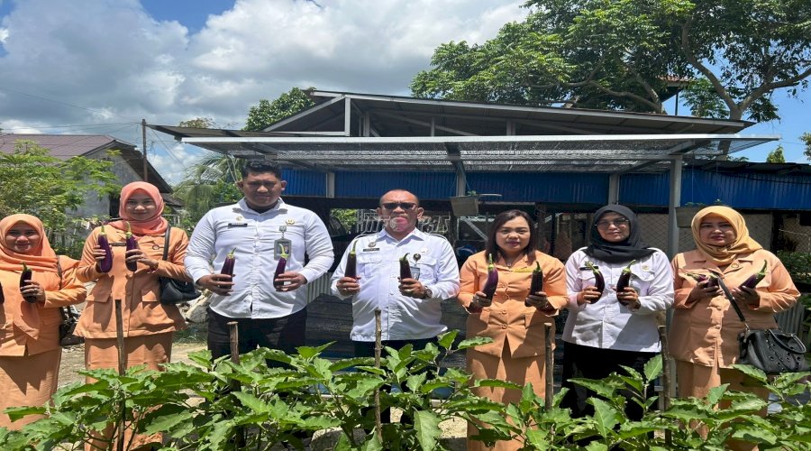 Walau Lahan Terbatas, Rutan Rantau Sukses Panen Sawi dan Terong 