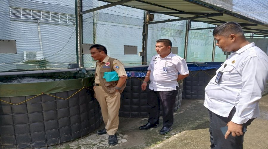 Dari Kolam Menuju Harapan, Warga Binaan Lapas Cipinang Buktikan Diri lewat Program Ketahanan Pangan