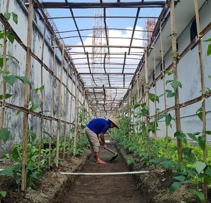 Rutan Kebumen Kelola Lahan Branggang Jadi Area Ketahanan Pangan
